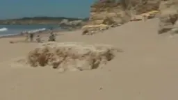 Blonde Frau in rosa Bikini liegt am Strandfelsen.